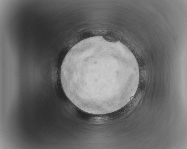 X0000102520323200809051449