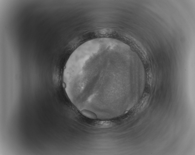 X0000102520324200809051449