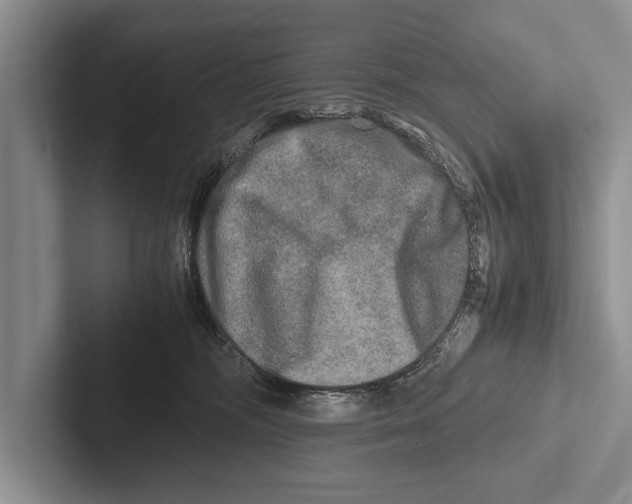 X0000102520326200809051449