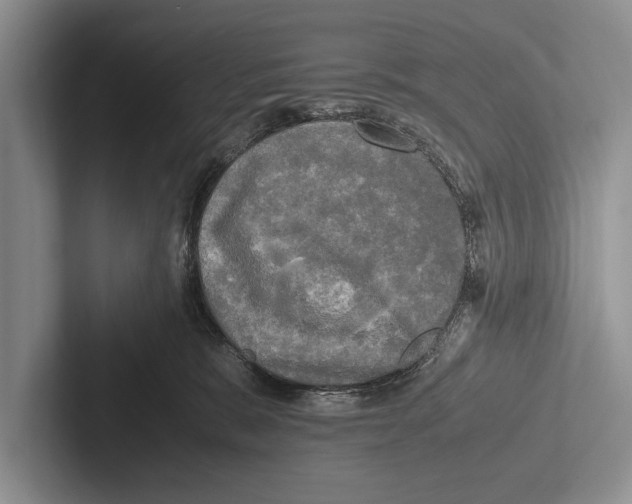 X0000102520327200809051449