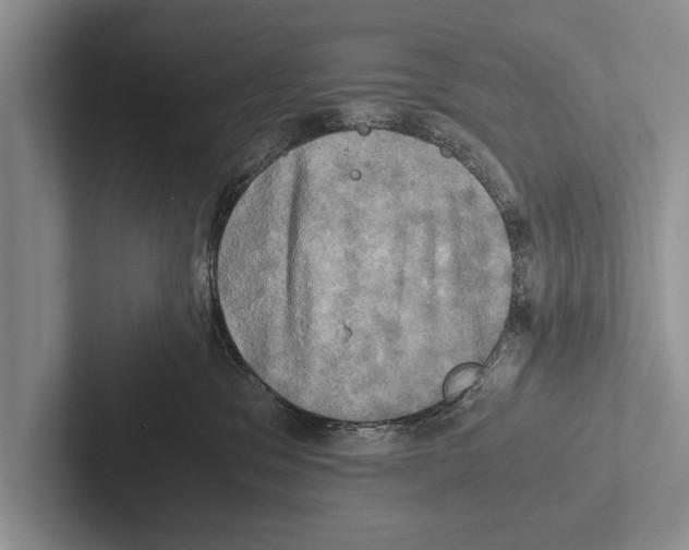 X0000102520329200809051449