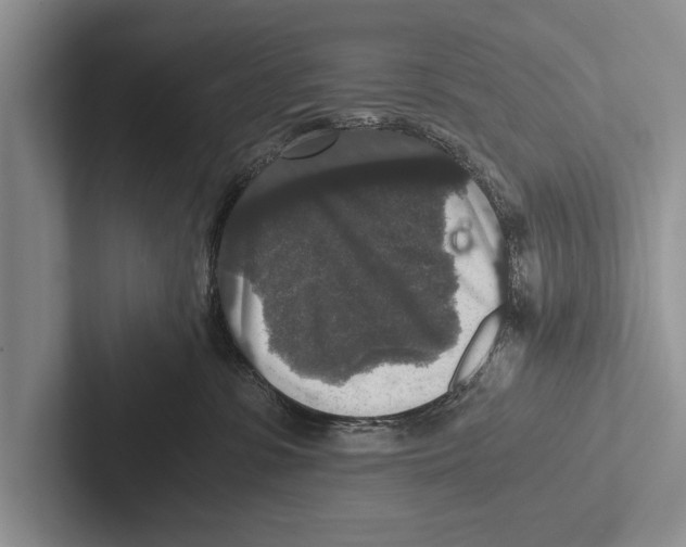 X0000102520331200809051449