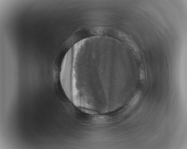 X0000102520332200809051449