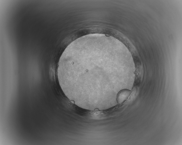 X0000102520333200809051448