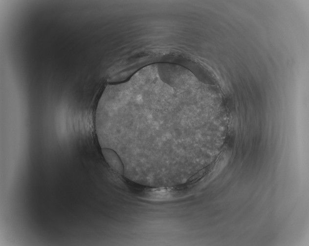 X0000102520335200809051448