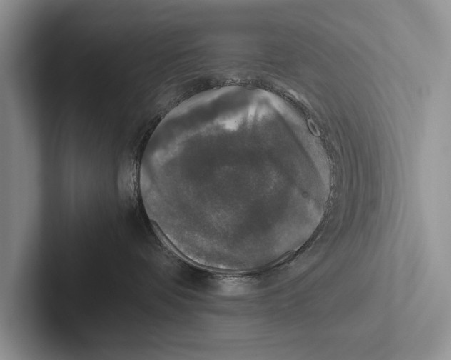 X0000102520336200809051448