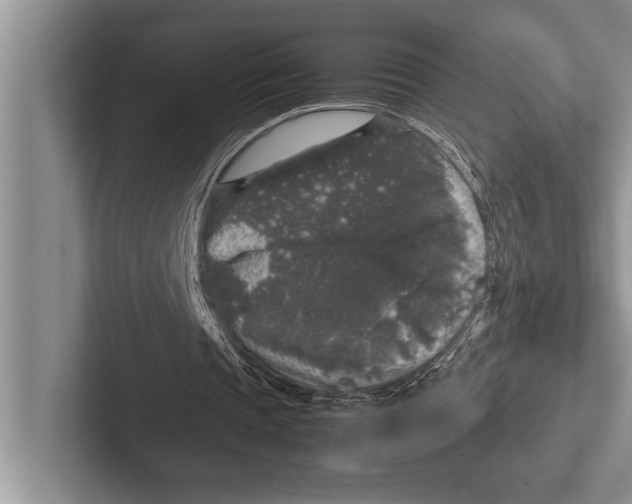 X0000102520337200809051448