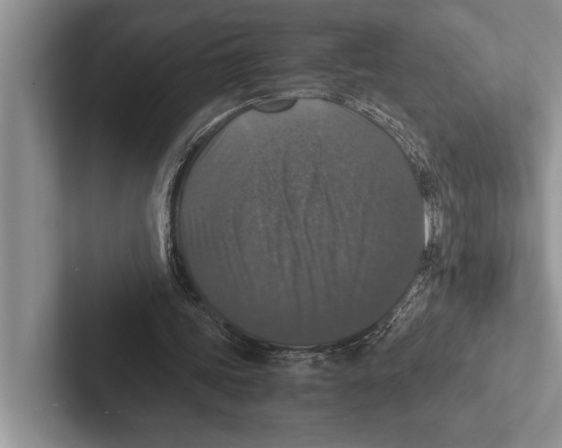X0000102520339200809051448