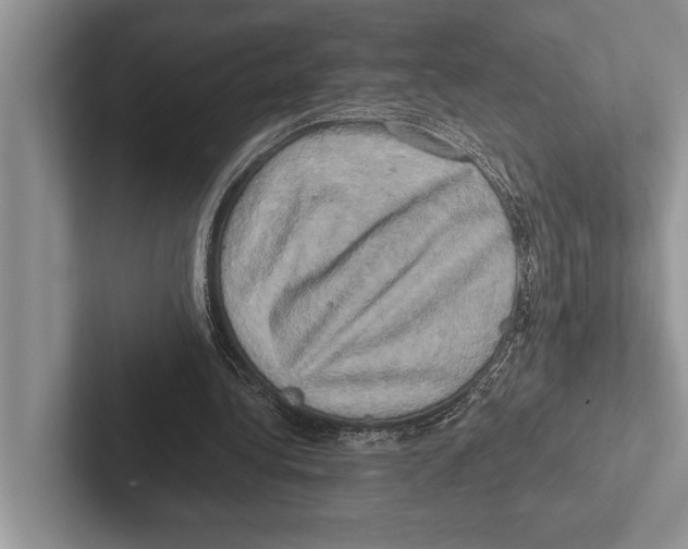X0000102520340200809051448
