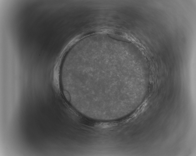 X0000102520341200809051448