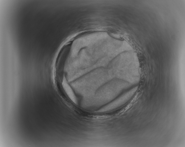 X0000102520342200809051448