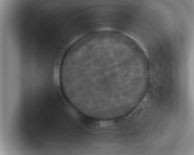 X0000102520345200809051448