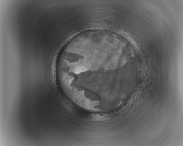 X0000102520346200809051448