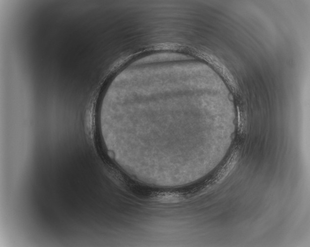X0000102520348200809051448