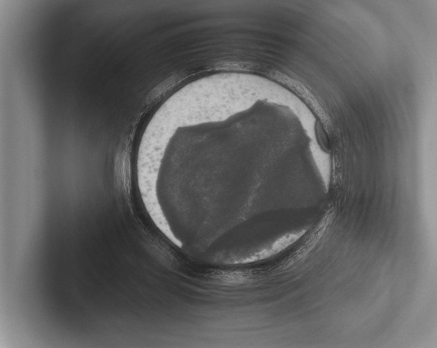 X0000102520349200809051448
