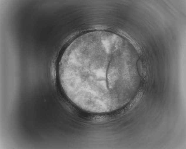X0000102520350200809051448