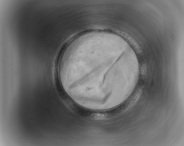 X0000102520352200809051448