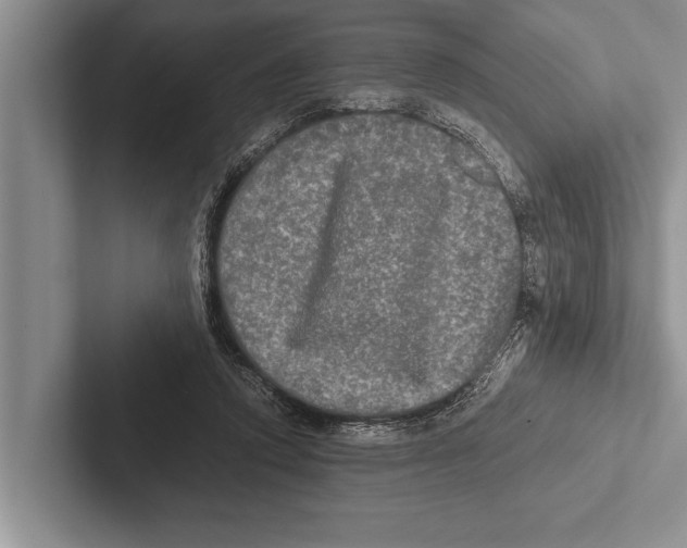 X0000102520354200809051448