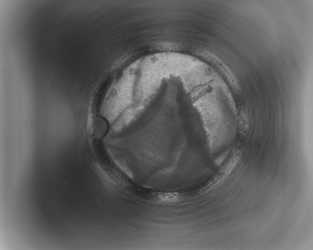 X0000102520355200809051448
