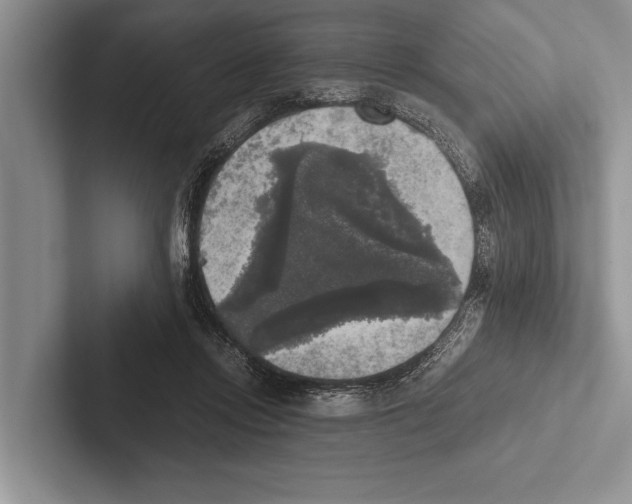 X0000102520358200809051448