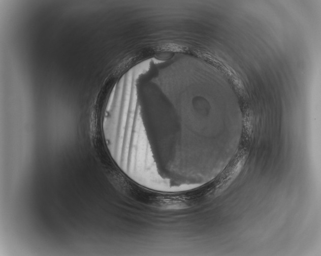 X0000102520359200809051448