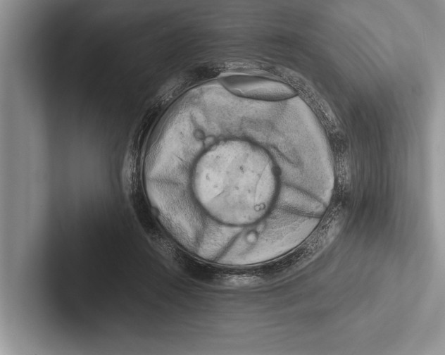 X0000102520360200809051448