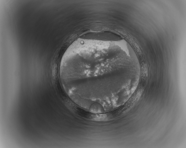 X0000102520361200809051448