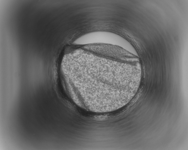 X0000102520362200809051448