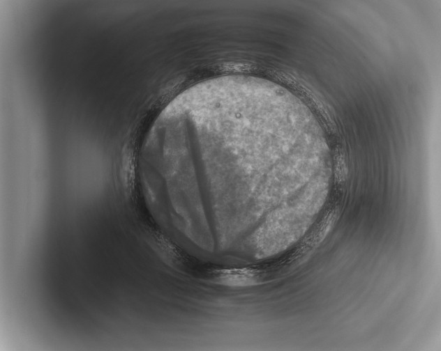 X0000102520363200809051448
