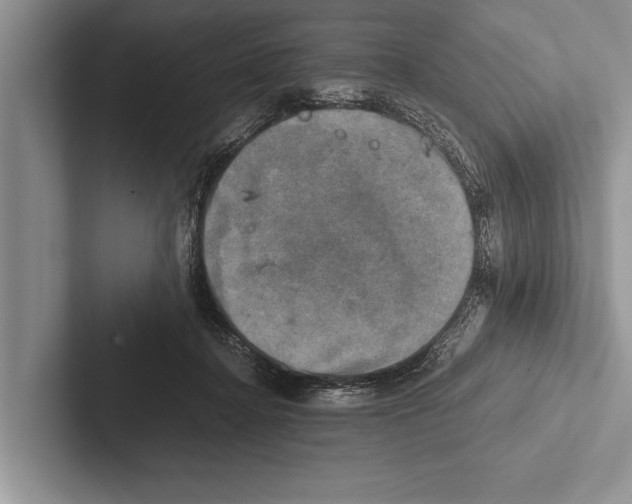 X0000102520364200809051448