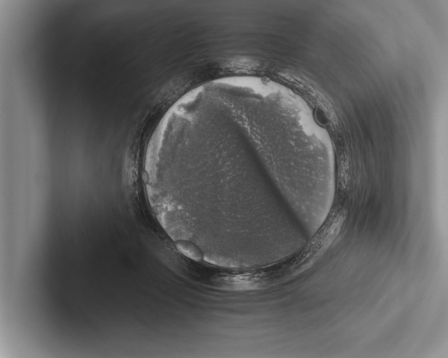 X0000102520365200809051448