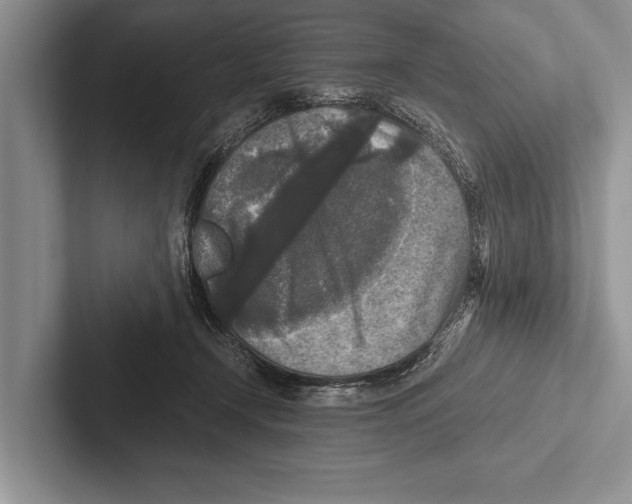X0000102520366200809051448