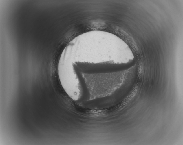 X0000102520367200809051448