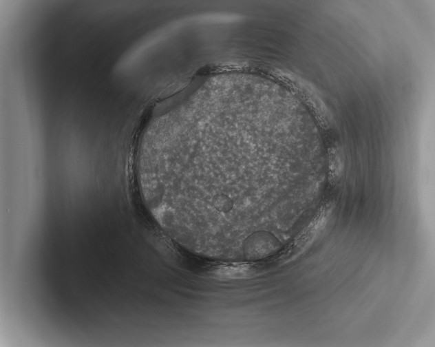 X0000102520369200809051448