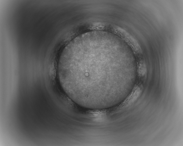 X0000102520370200809051448