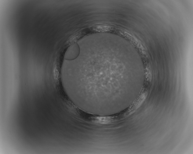 X0000102520371200809051448