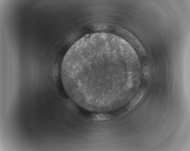 X0000102520372200809051448