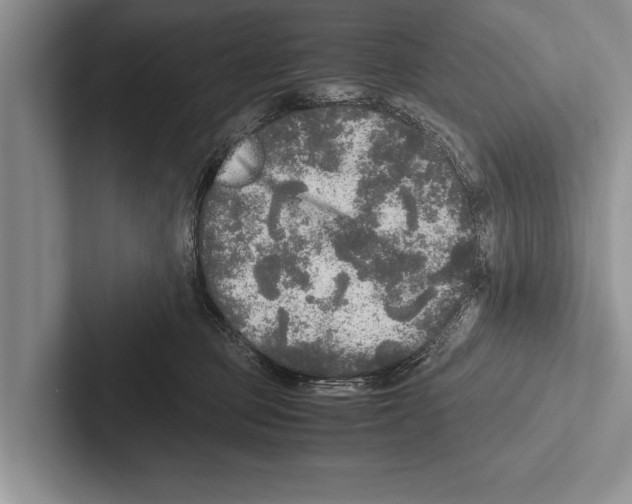 X0000102520373200809051448