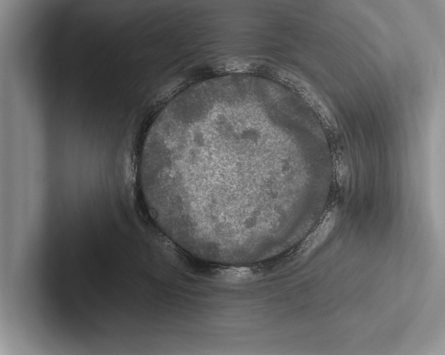 X0000102520374200809051448