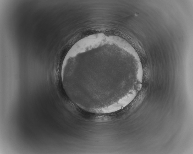X0000102520376200809051448