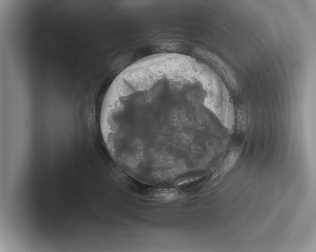X0000102520377200809051448