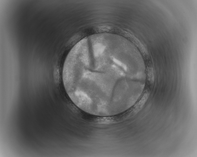X0000102520378200809051448