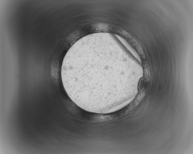 X0000102520379200809051448