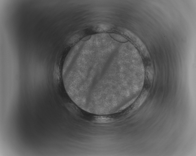 X0000102520380200809051448
