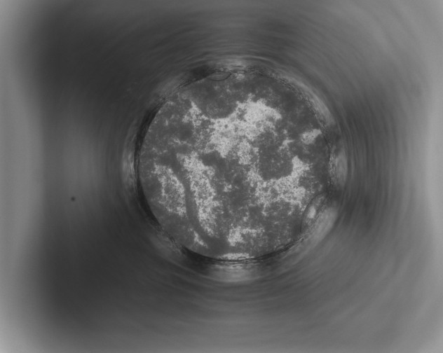 X0000102520381200809051448