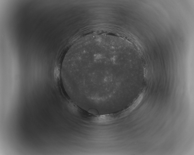 X0000102520382200809051448