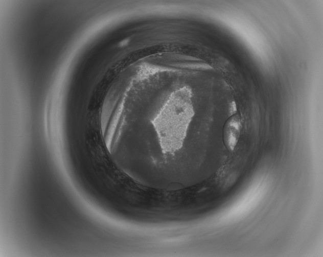 X0000102520383200809051448
