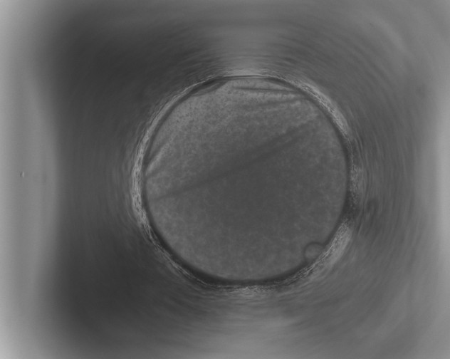 X0000102520385200809051448
