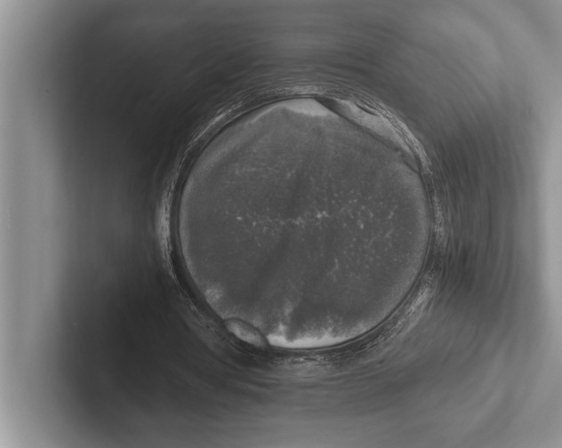X0000102520386200809051448