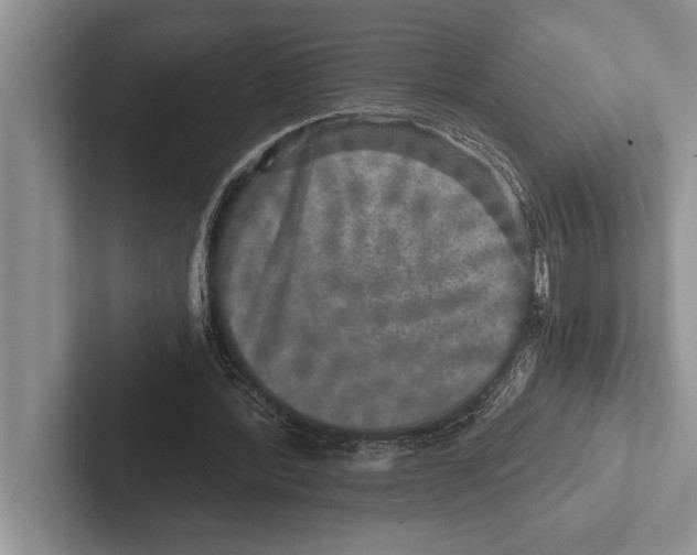 X0000102520388200809051448